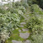 design footpath made by stone greenery plants wall white green plant pathway from stones exterior