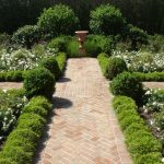 landscape with brown orange path, plants wall on both sides, white flowers on both sides