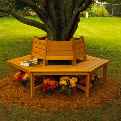 wooden round bench ring the tree