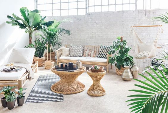 living room, grey seamless floor, bamboo bench with white cushion, bamboo lounge chair white cushion, plants, rattan coffee table