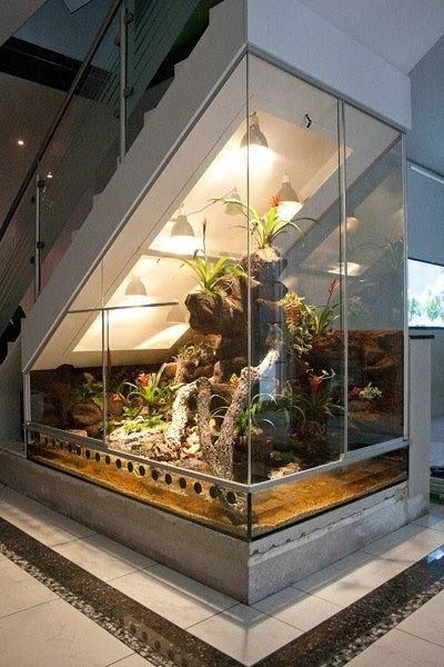 a big aquarium under the stairs with lamps, plants, wood