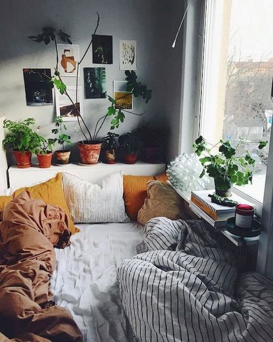 bedroom, white bedding, stripes blanket, grey wall, plants on headboard, windows sill floating shelves