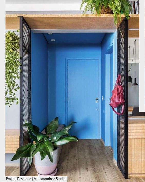 entrance, wooden floor, blue painted wall